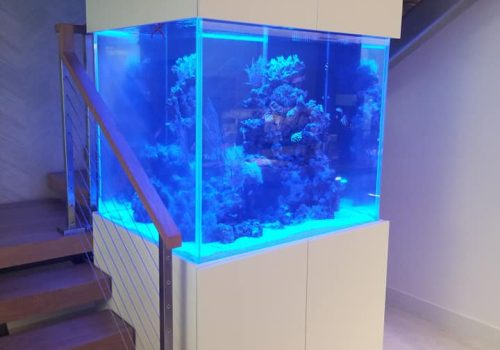 Fishtank-2